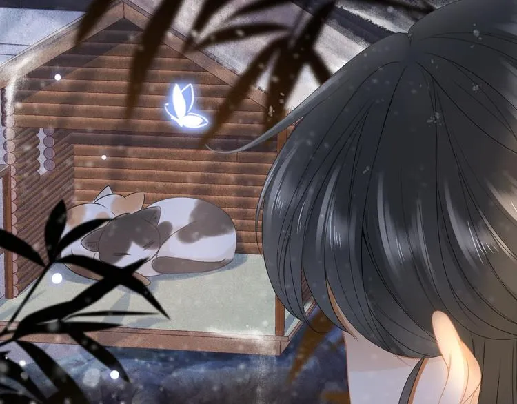 第14话 寻引药 第62页