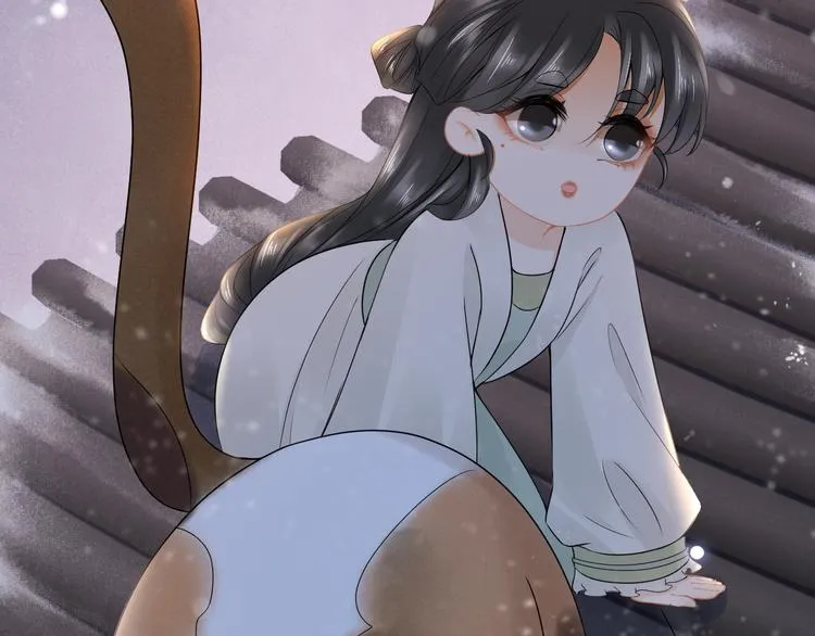 第14话 寻引药 第66页