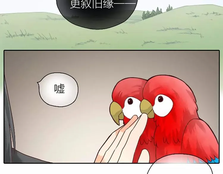第5话 王爷得给我玩玩他的鸟！ 第51页