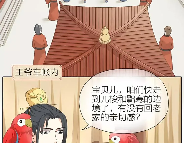 第29话 姐夫，我想我的鸟…… 第17页