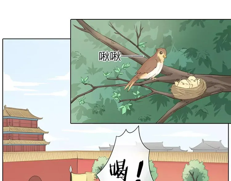 第49话 洞房之夜，有点激烈！ 第3页