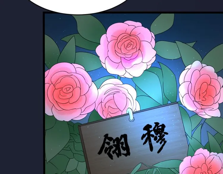 第三季 03你是朕心悦的人 第30页