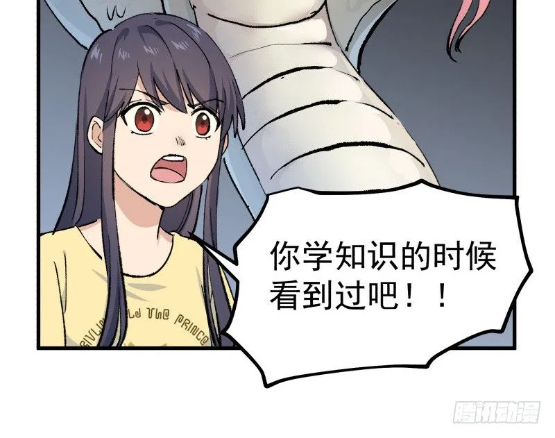 28 山中 第71页