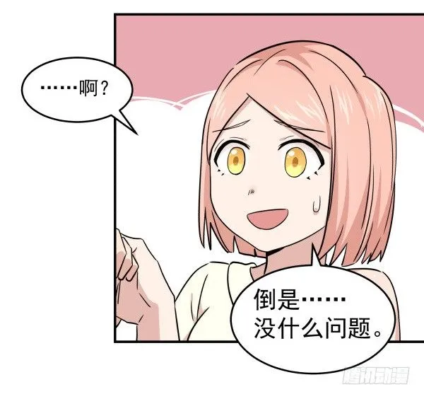 13 全新形象 第16页