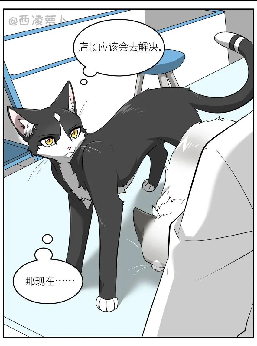 007 怎么办…… 第3页