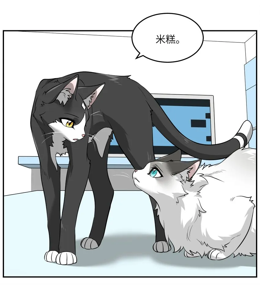 007 怎么办…… 第5页