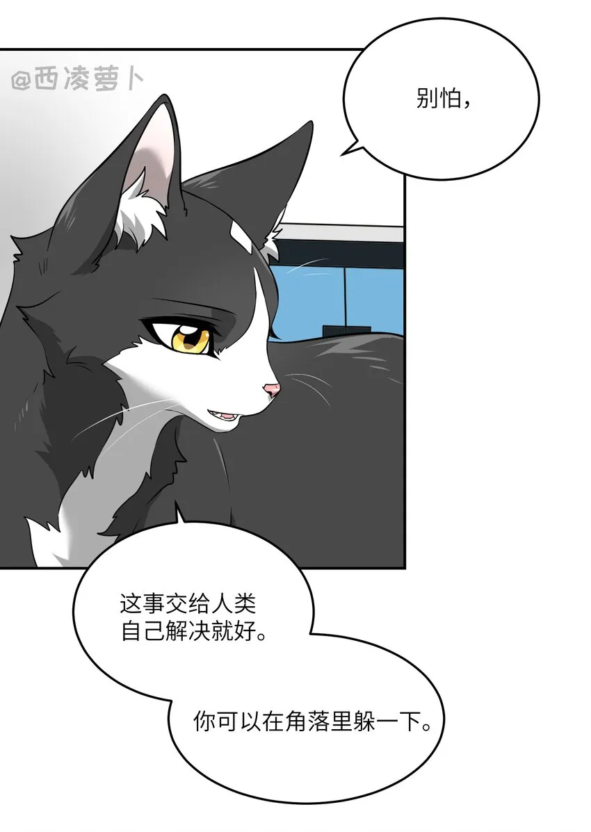 007 怎么办…… 第6页