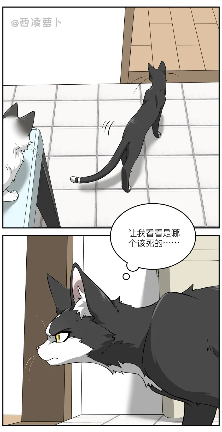 007 怎么办…… 第9页