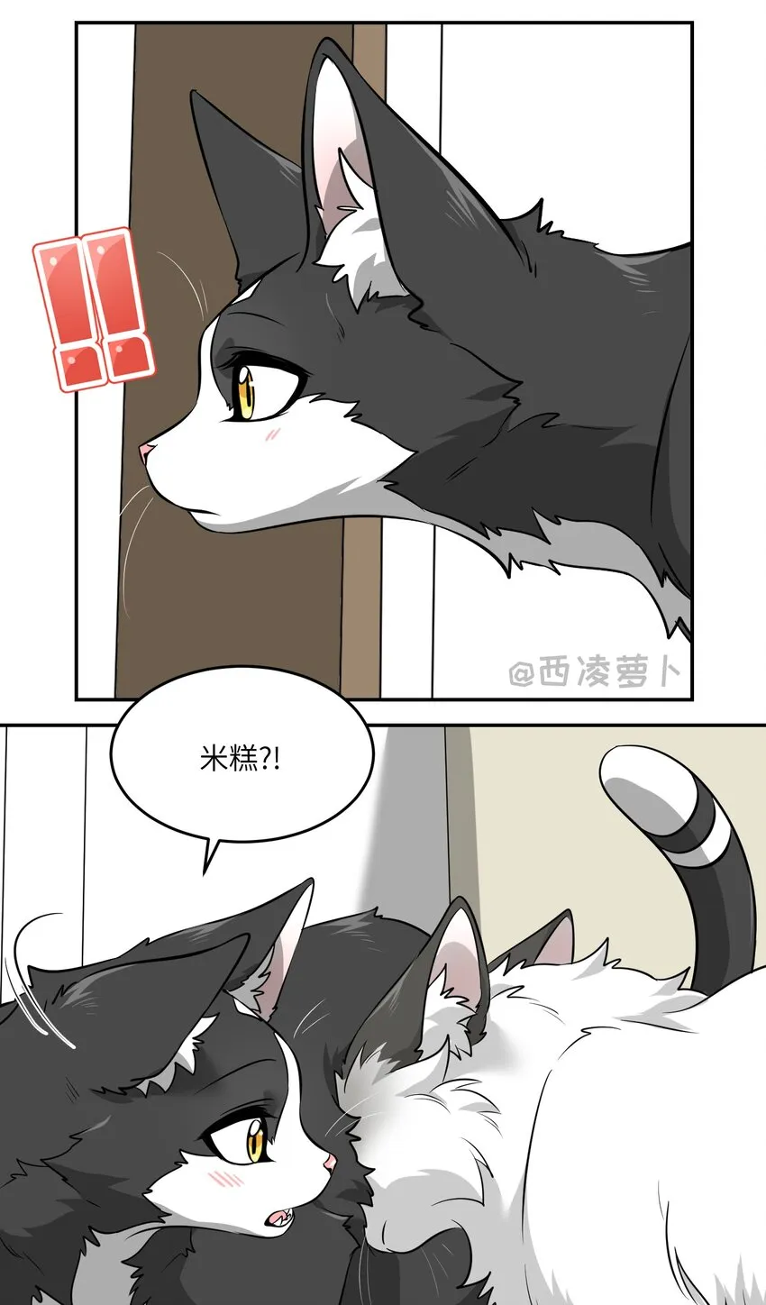 007 怎么办…… 第10页