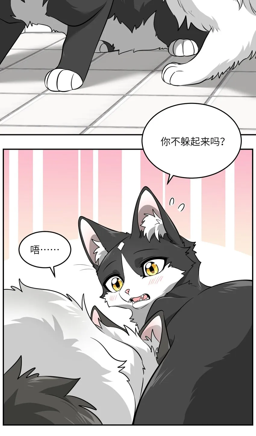 007 怎么办…… 第11页