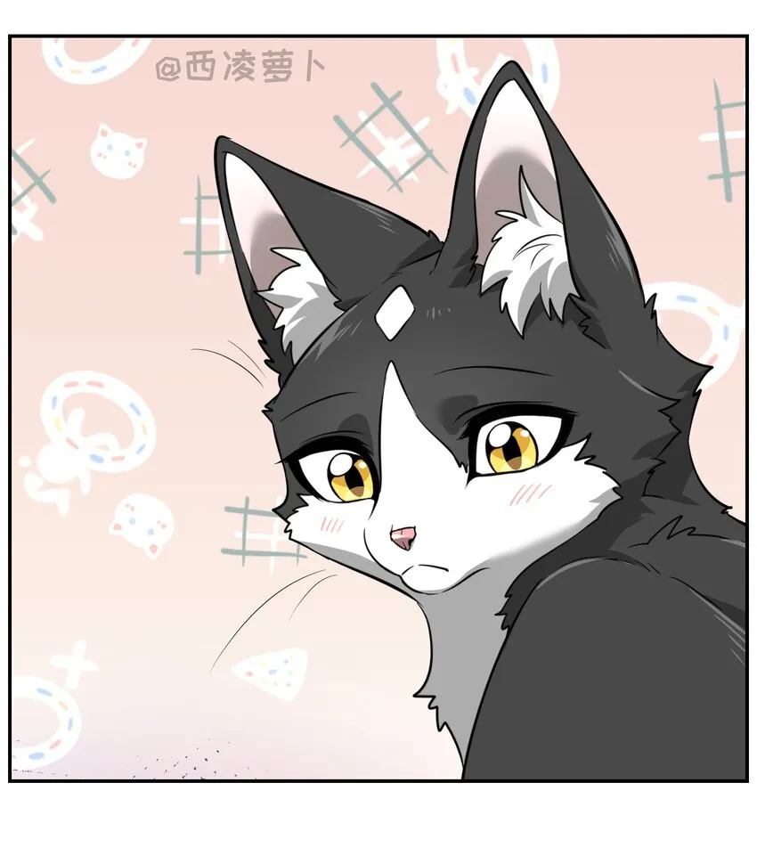 007 怎么办…… 第13页