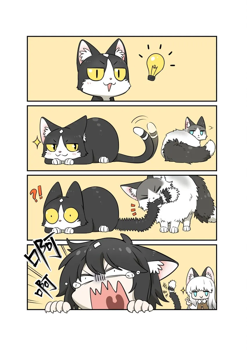 007 怎么办…… 第19页
