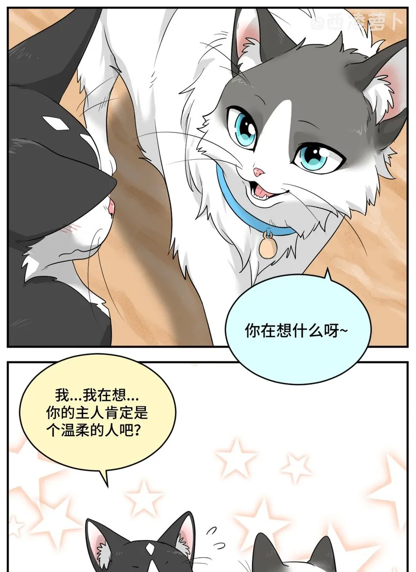002 第二话 我已经没有主人了。 第4页