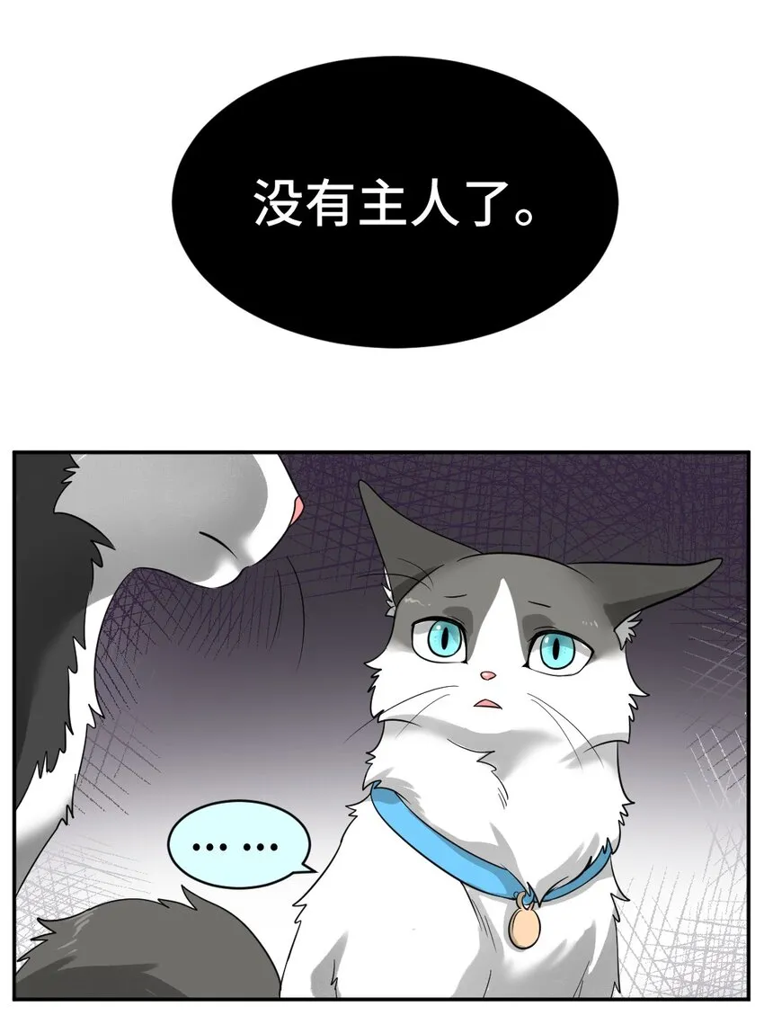 002 第二话 我已经没有主人了。 第6页