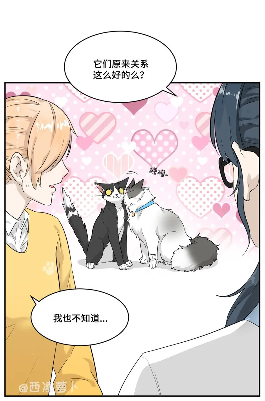 002 第二话 我已经没有主人了。 第11页