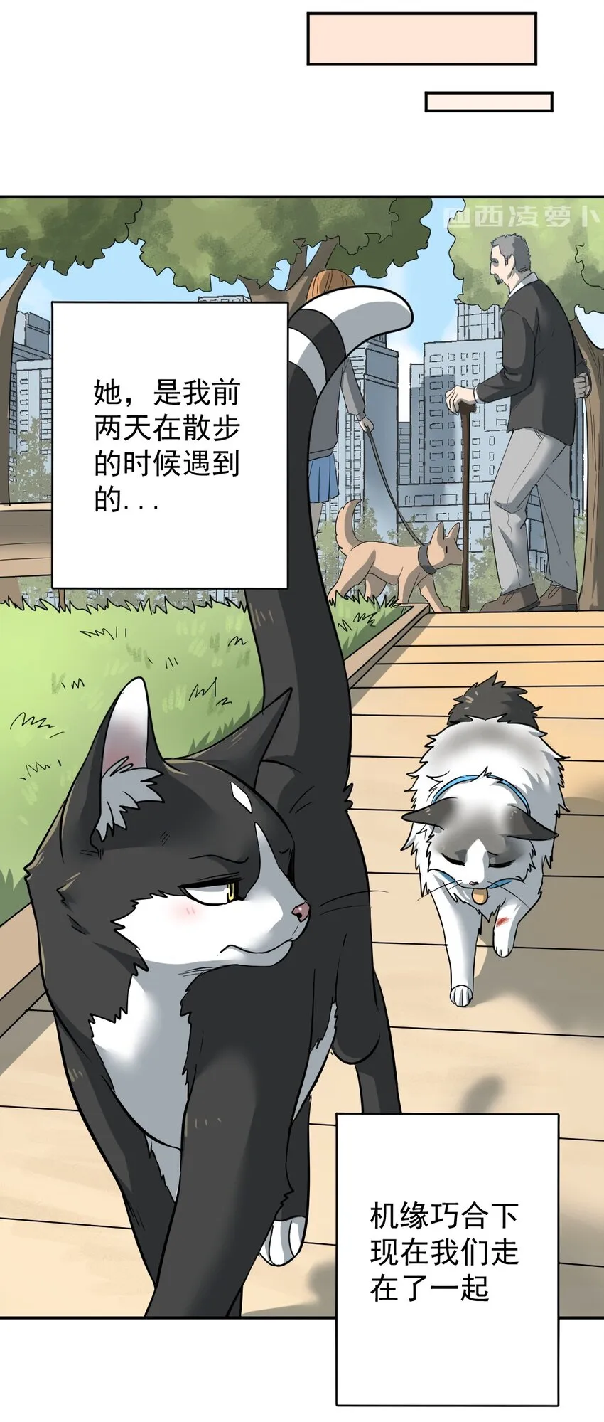 001 第一话 米糕！！ 第7页