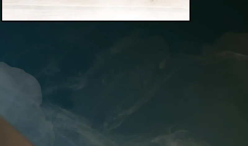 第247话 直接打一架 第22页