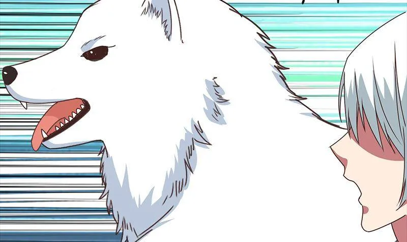 第14话 那就做我男朋友吧 第15页