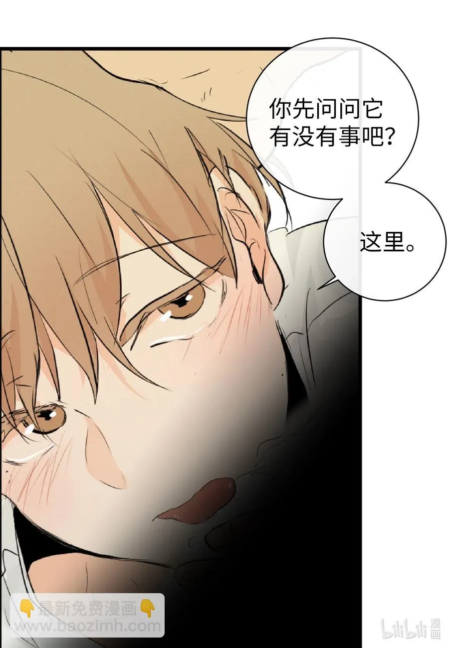 42 我也喜欢你 第8页
