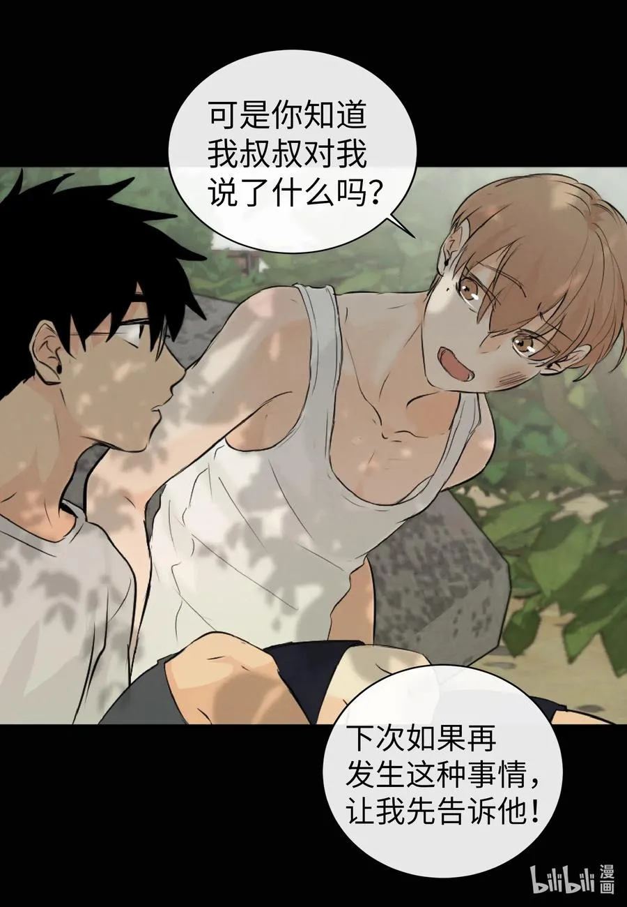 39 昆虫日记 第11页