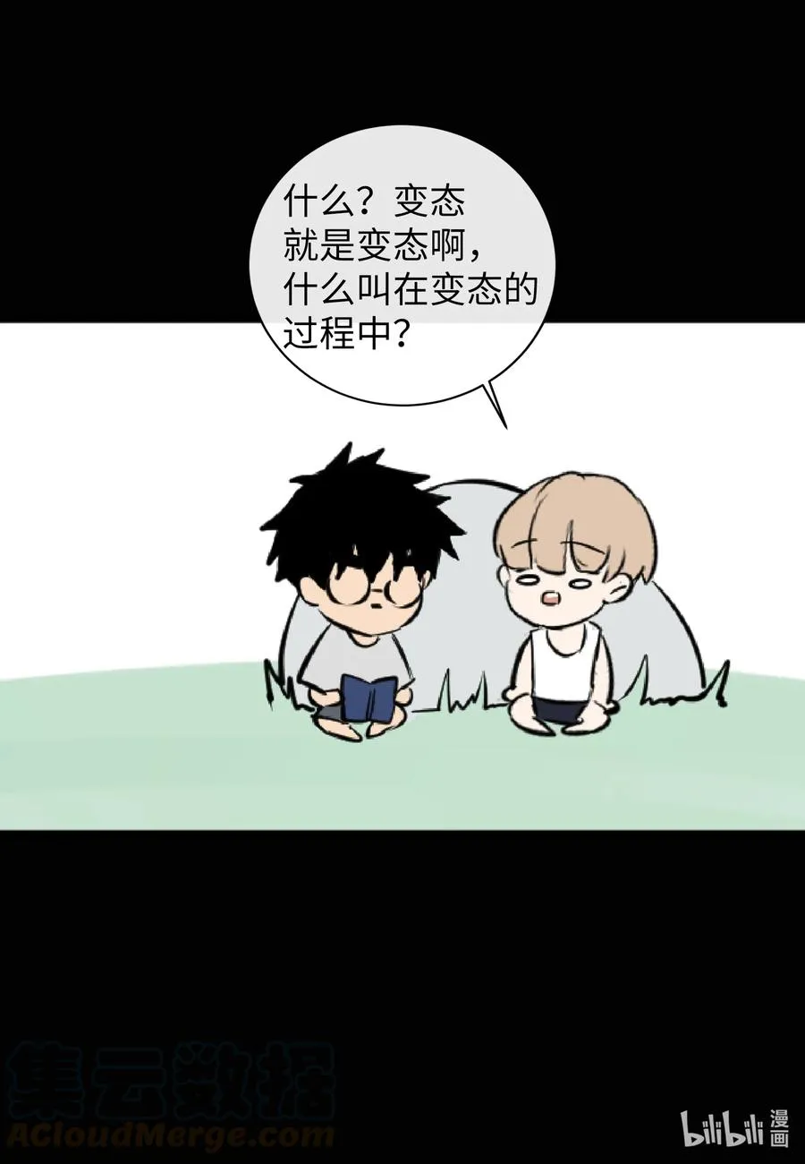 39 昆虫日记 第17页
