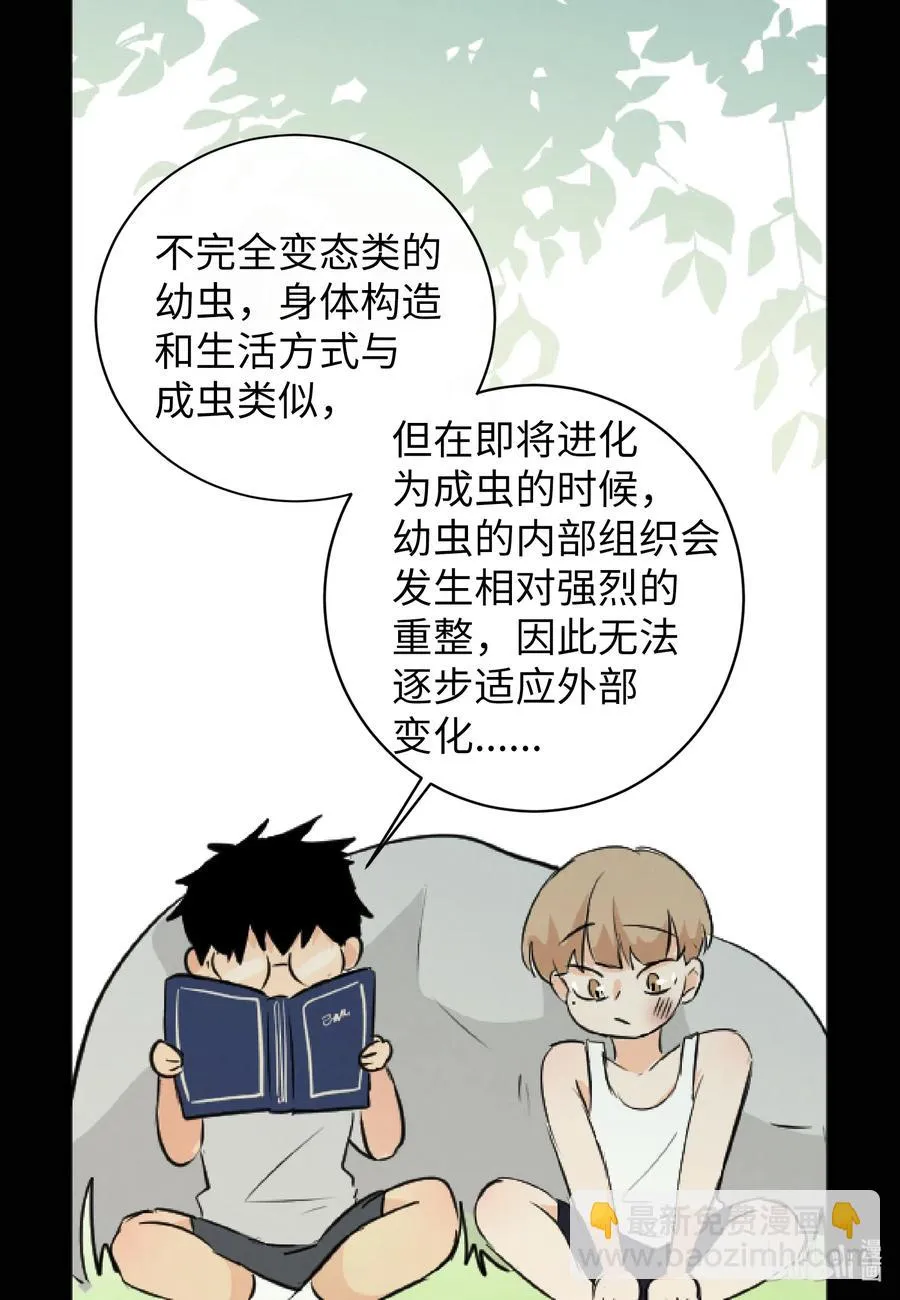 39 昆虫日记 第22页