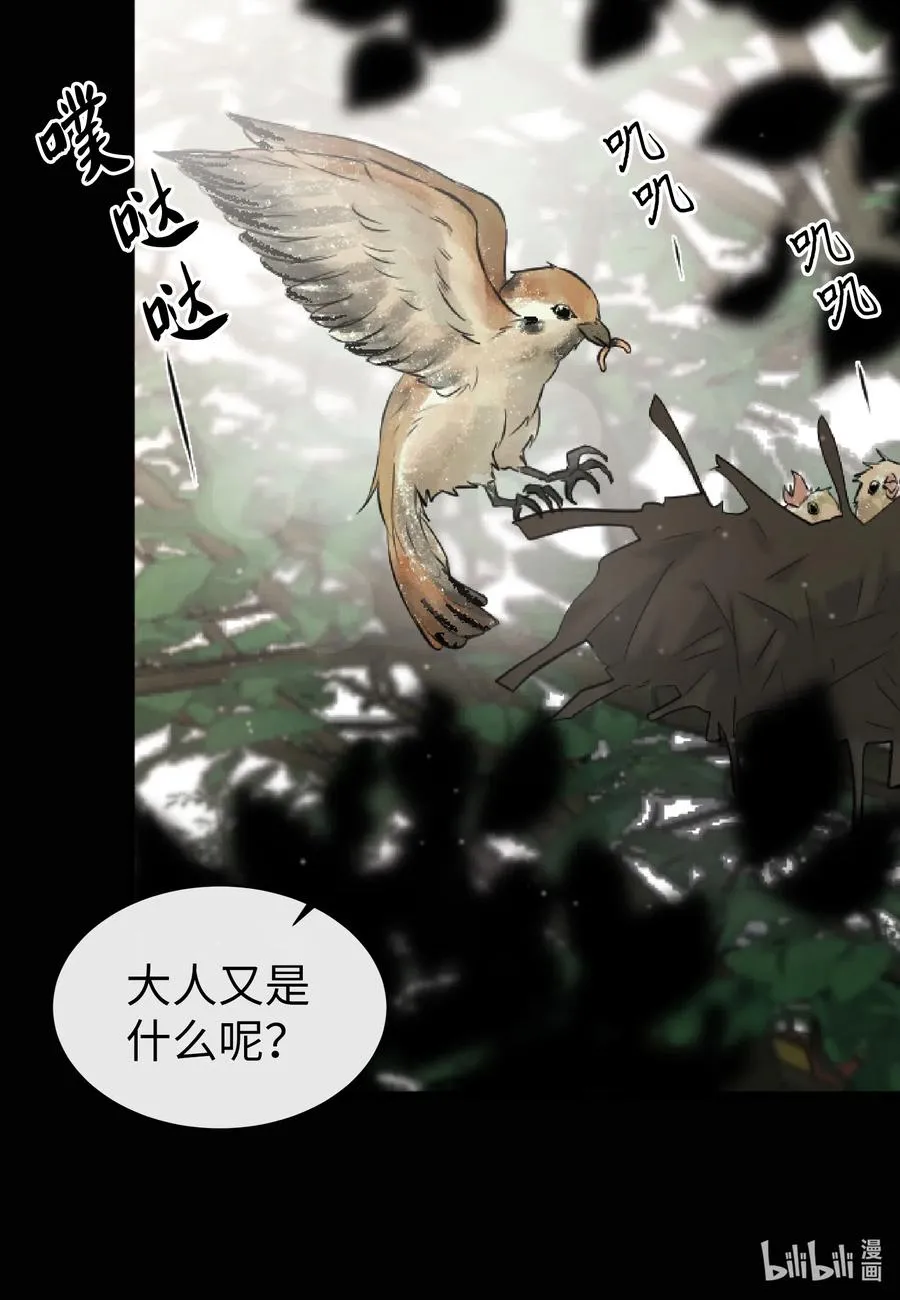39 昆虫日记 第31页