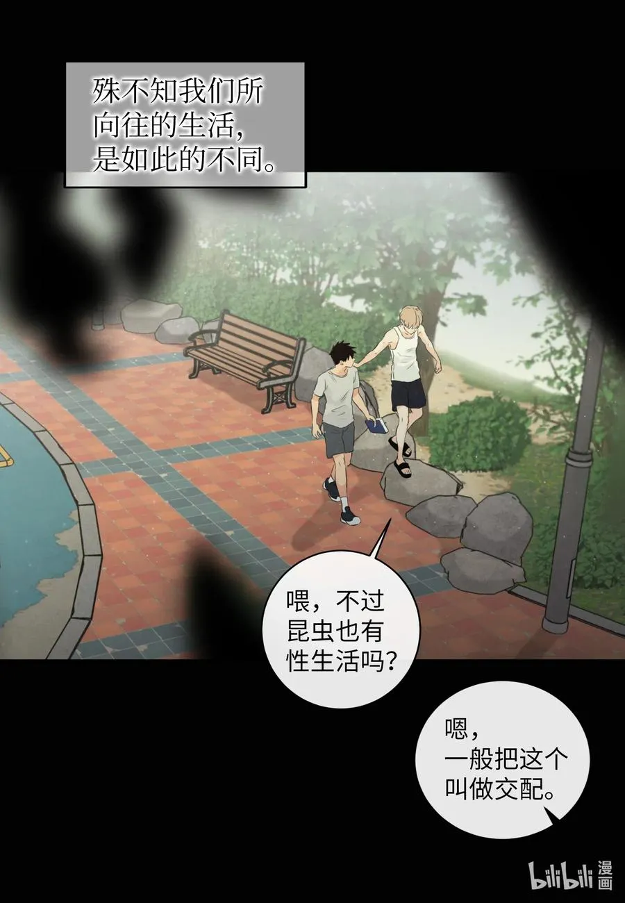 39 昆虫日记 第36页