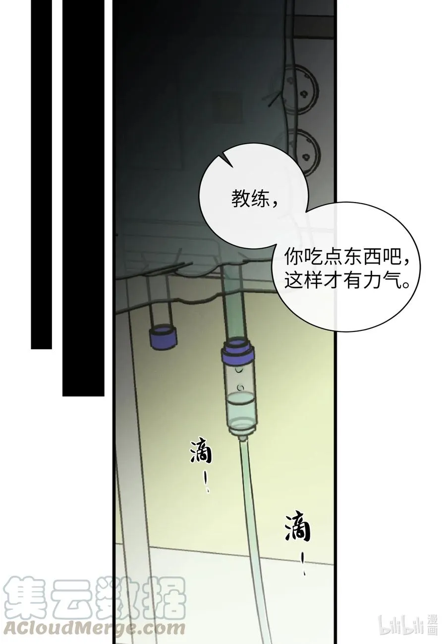 39 昆虫日记 第37页