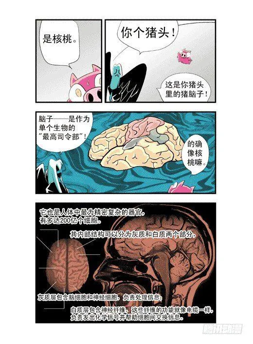 潜能与镜力 第15页