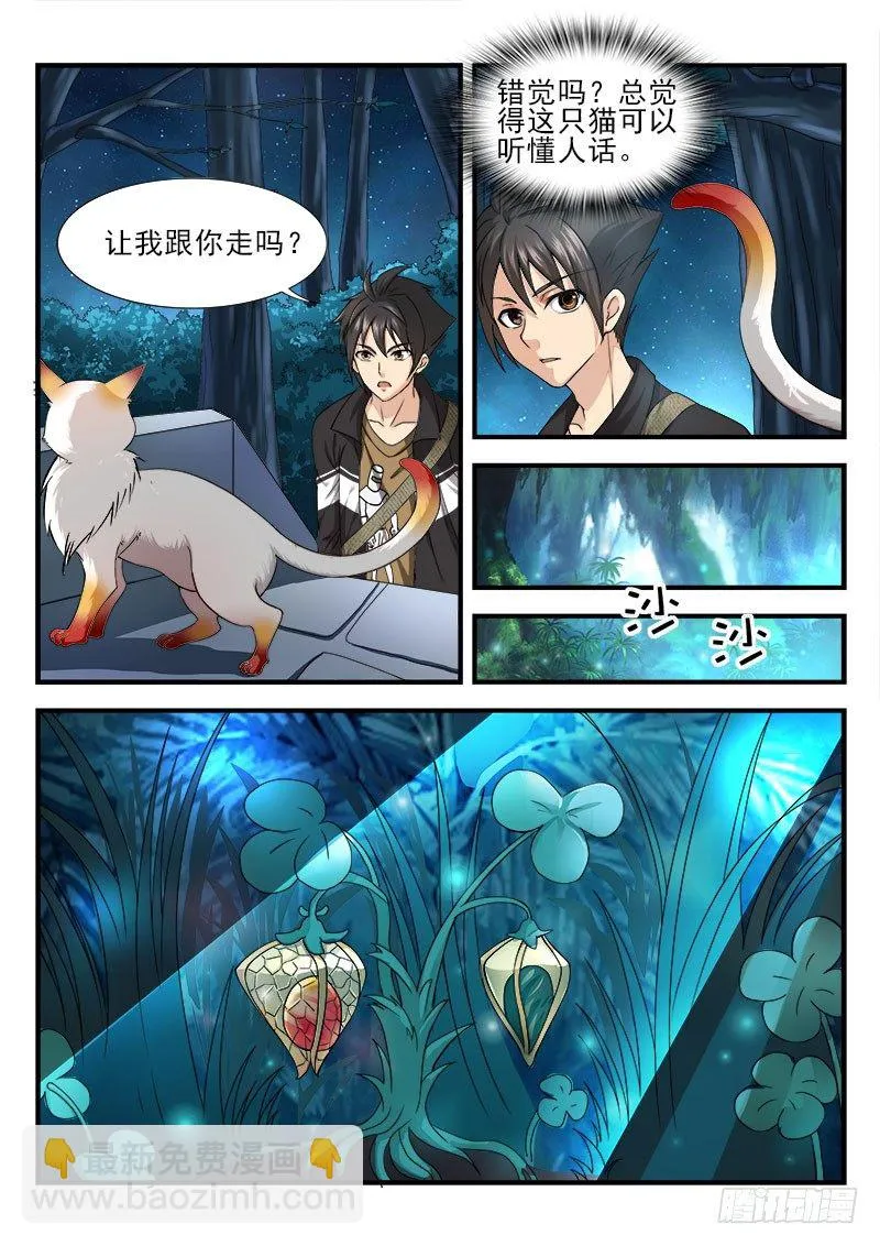 第六集 神秘的猫 第13页