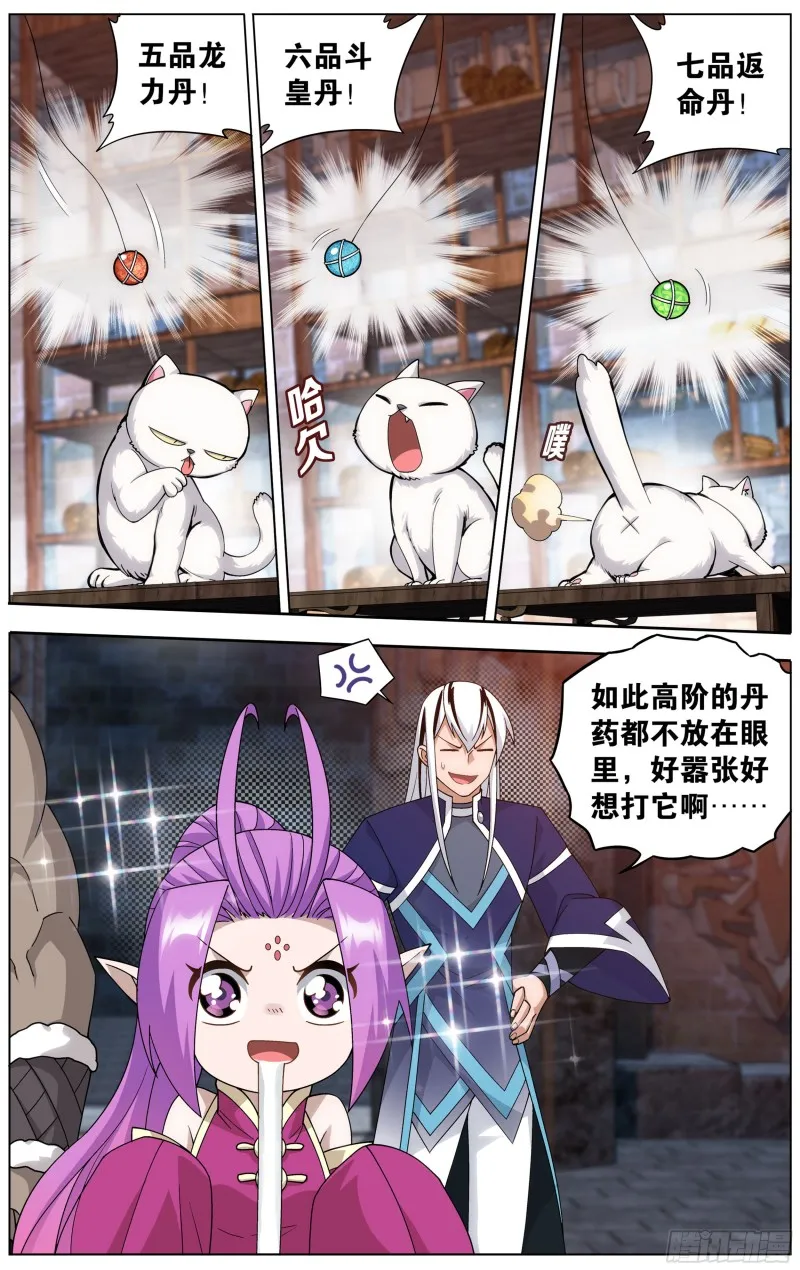 313回 灵猫 第12页