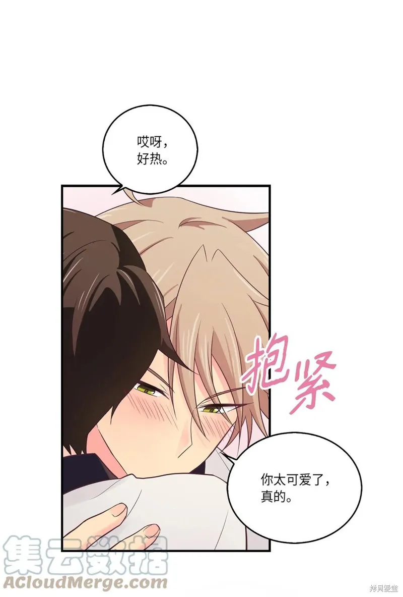 第39话 第19页