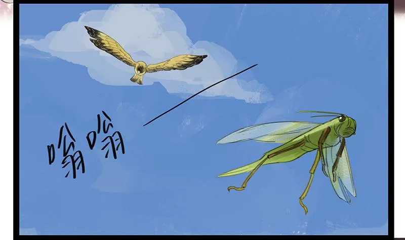第六话 衣锦还乡 第5页