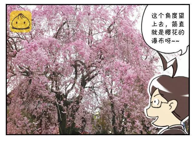 170 上野花见会 第4页