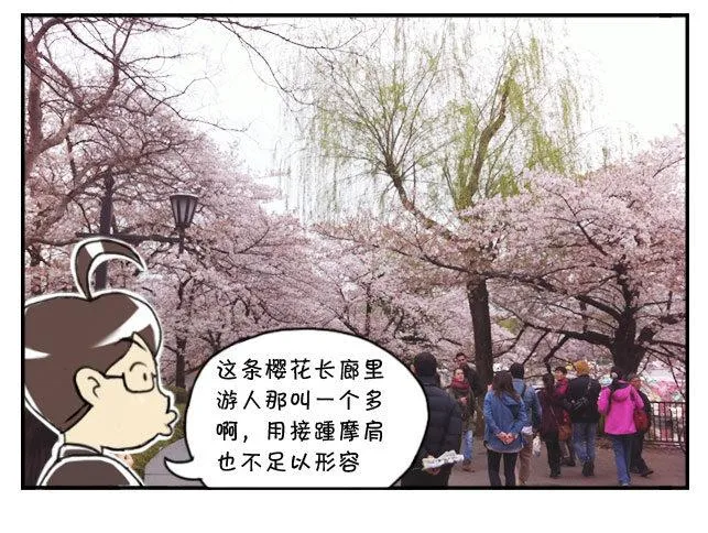 170 上野花见会 第5页