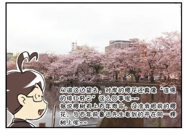 170 上野花见会 第6页