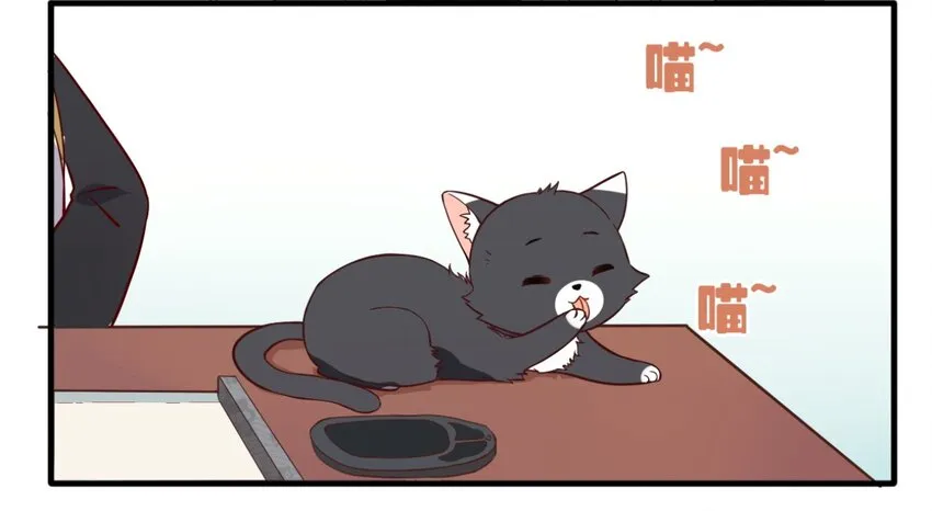 福利25 司马光铲屎的一天 第3页