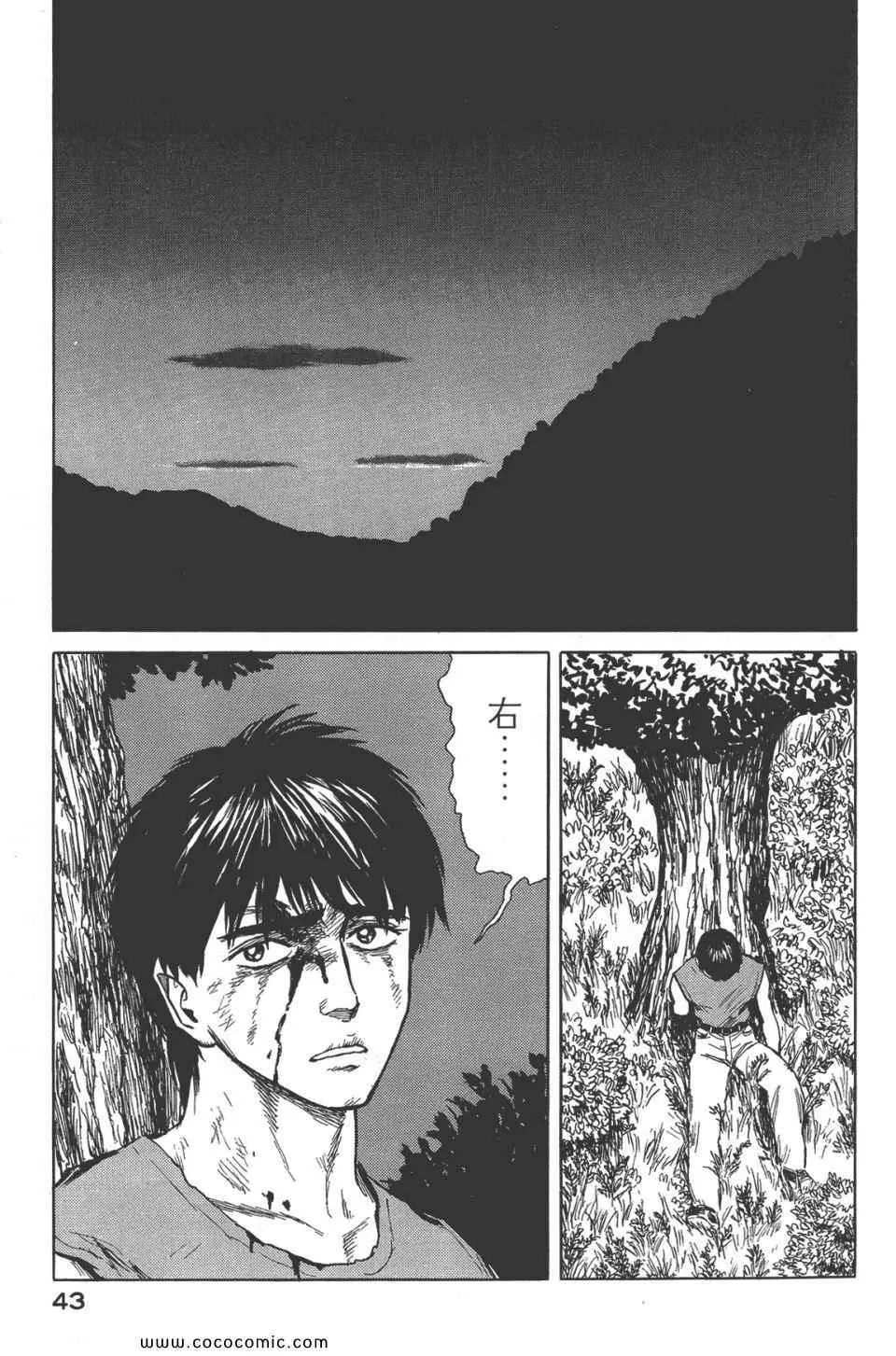 第8卷 完全版 第46页