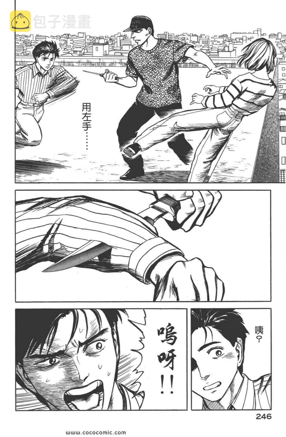 第8卷 完全版 第249页