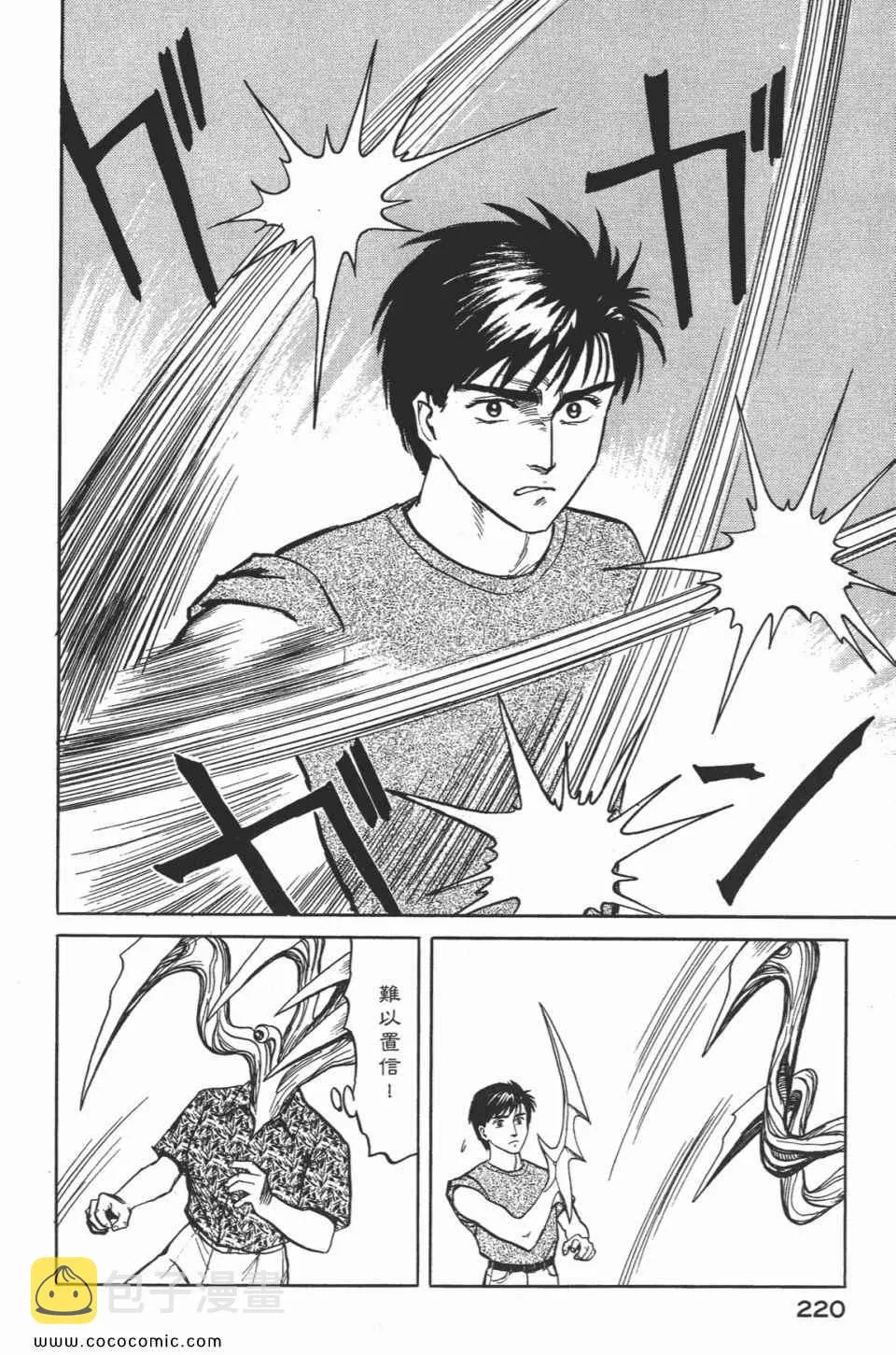 第2卷 完全版 第223页