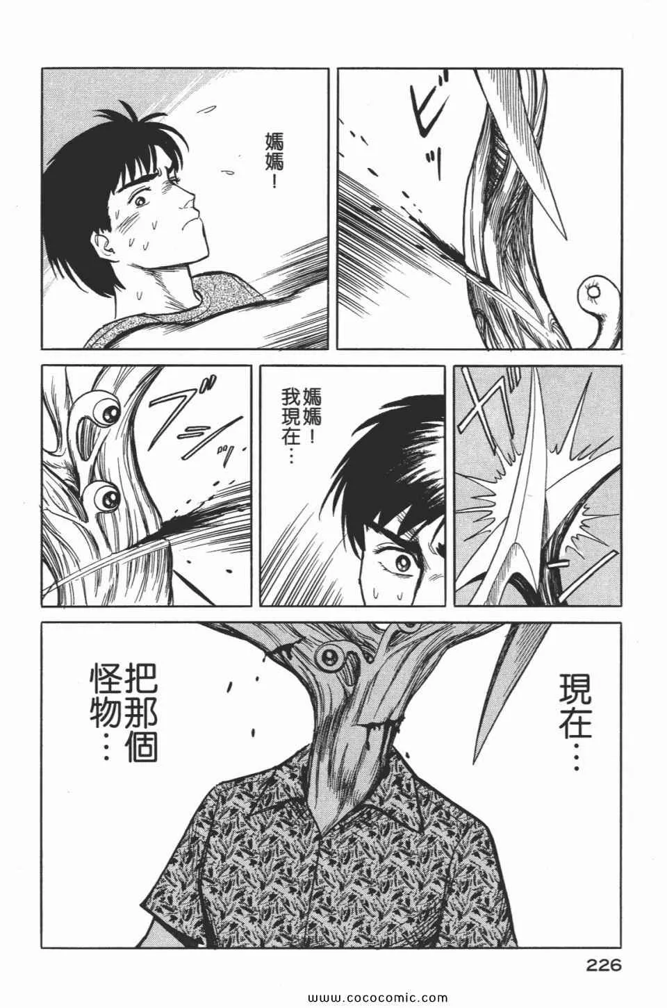 第2卷 完全版 第229页