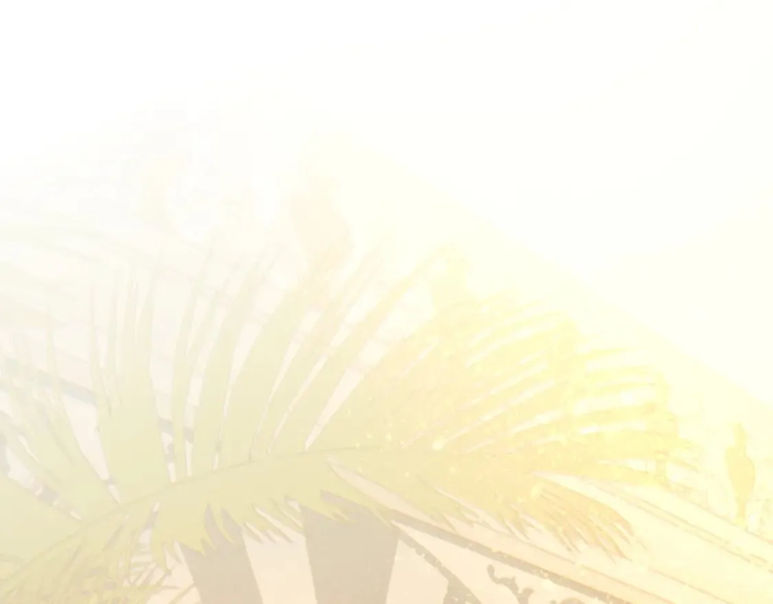 第48话 突来的访客 第47页