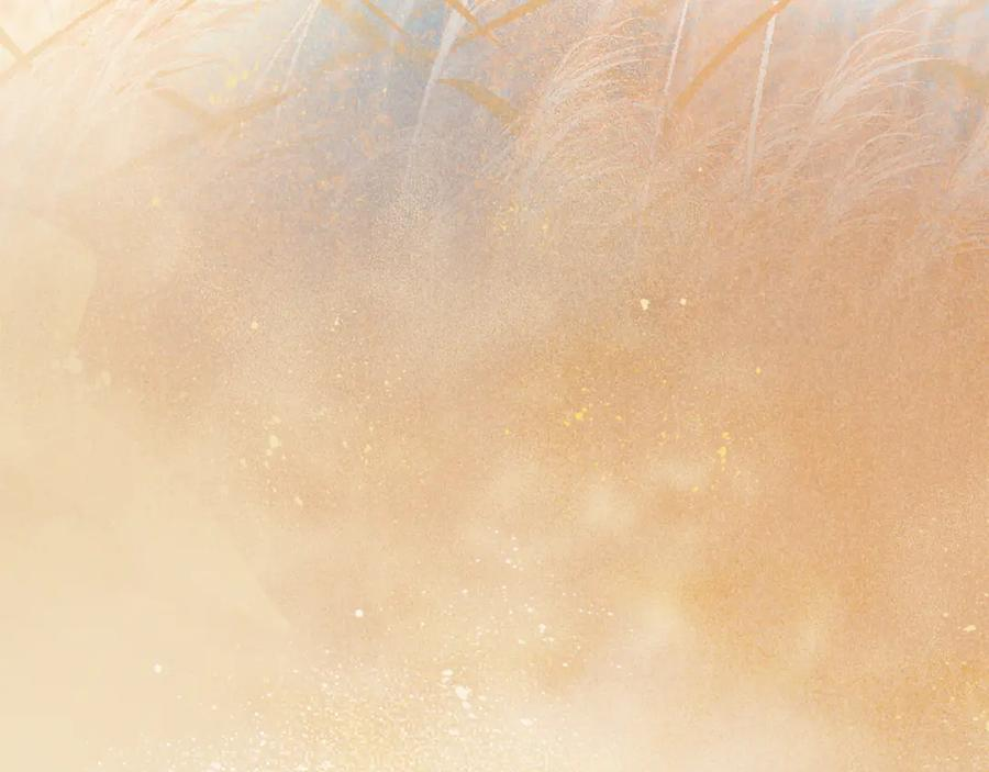 第114话 送信 第66页