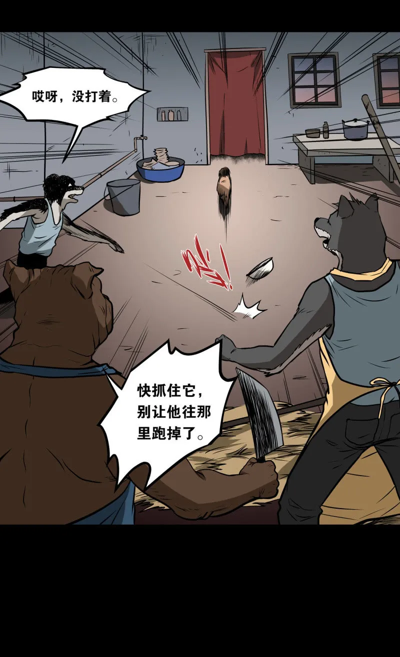 狗灵·异世界4 第28页