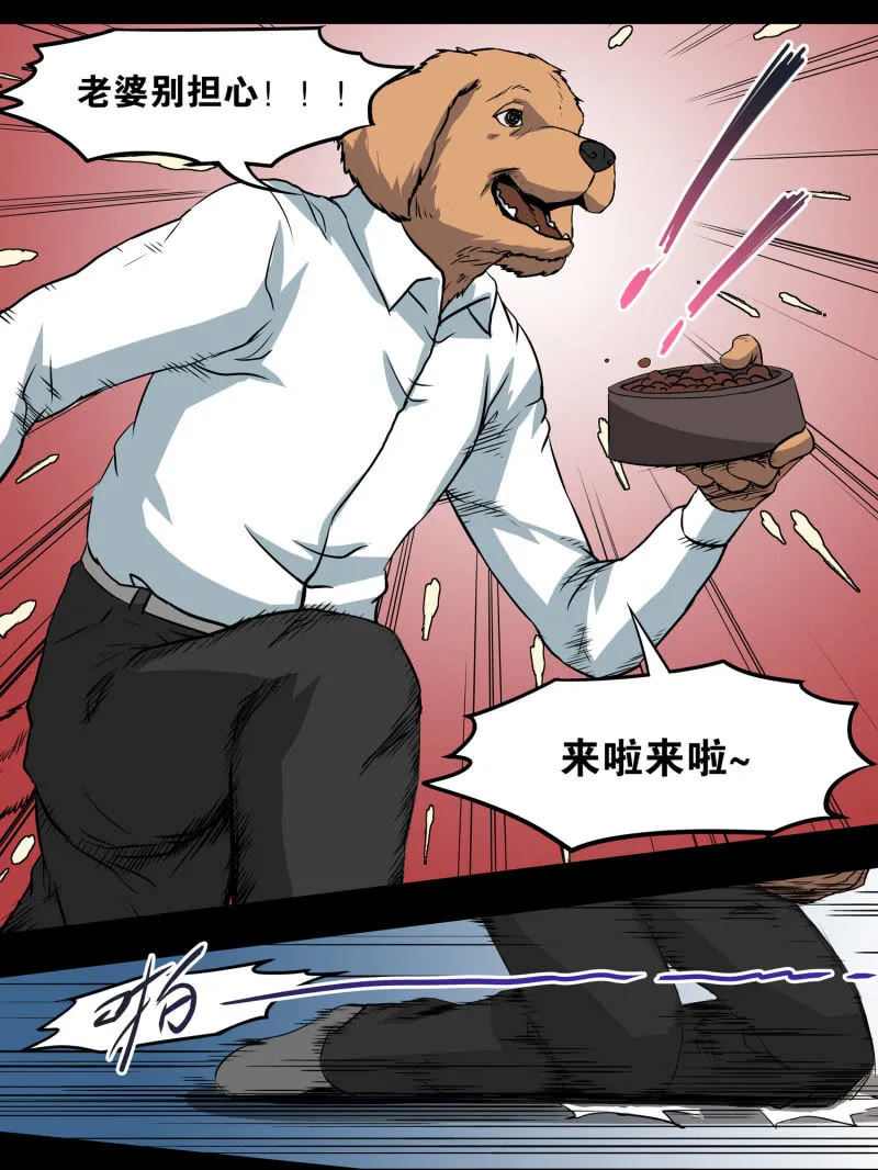 狗灵·异世界3 第43页
