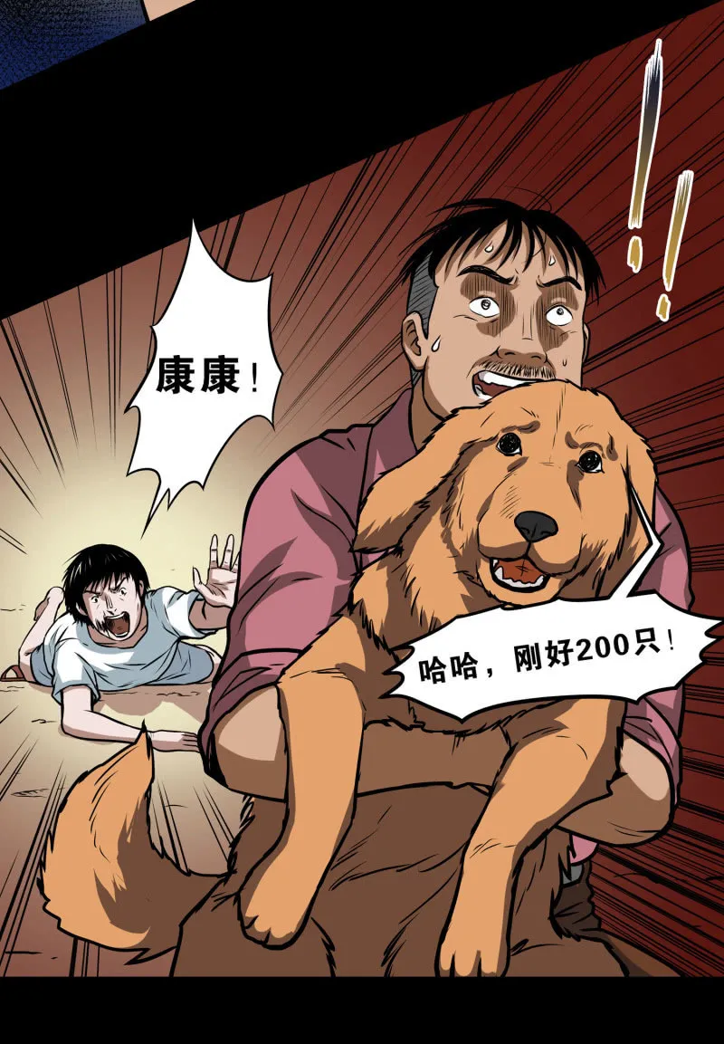 狗灵·异世界2 第38页