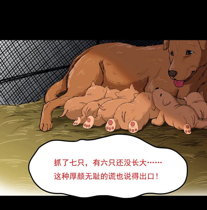 狗灵·异世界1 第20页