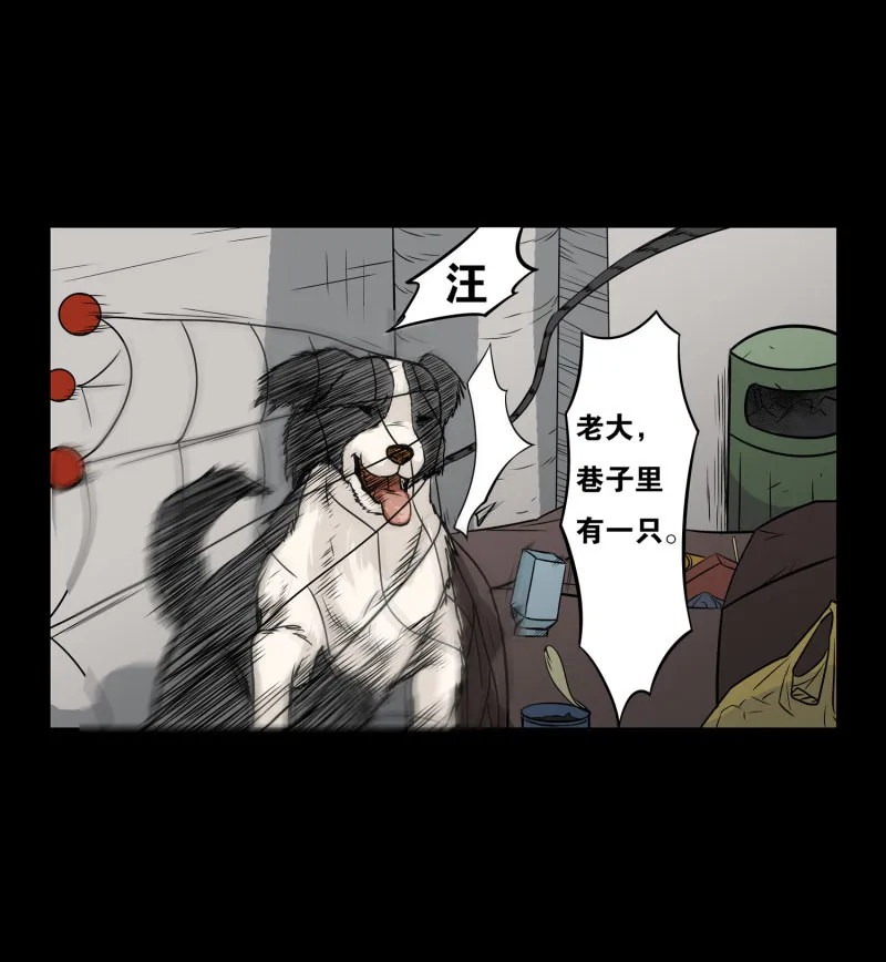狗灵·异世界1 第35页