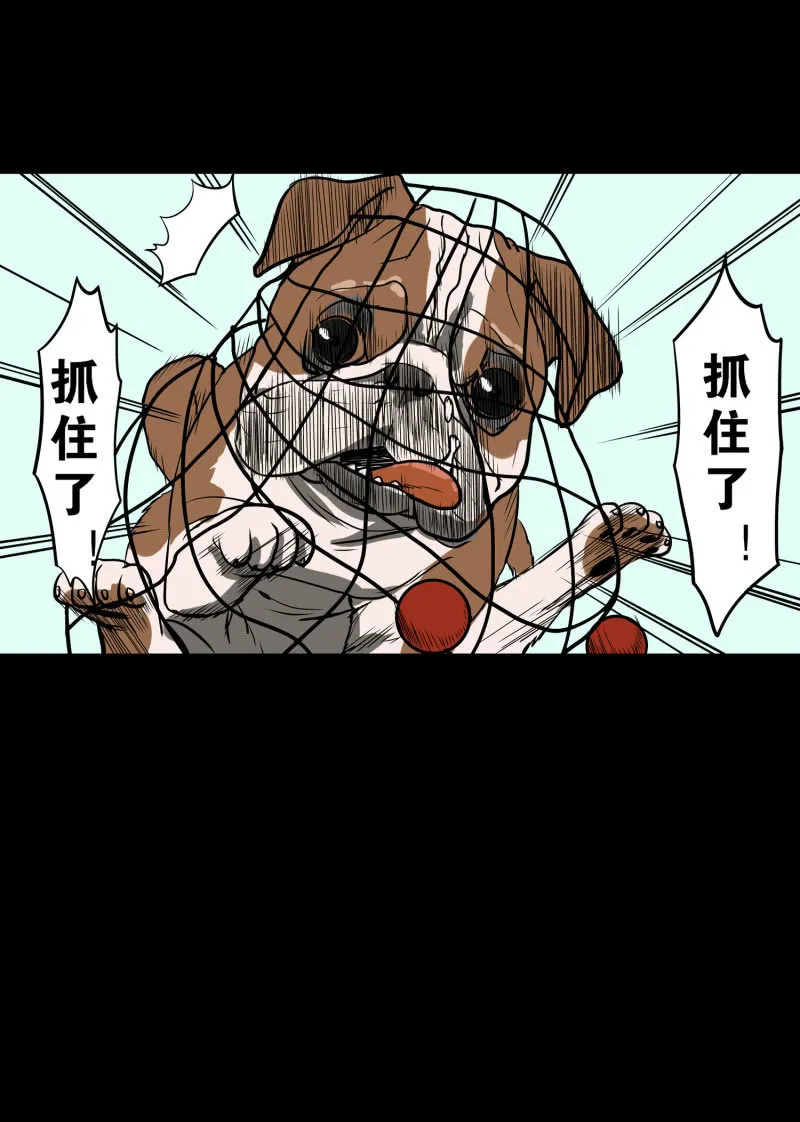 狗灵·异世界1 第39页